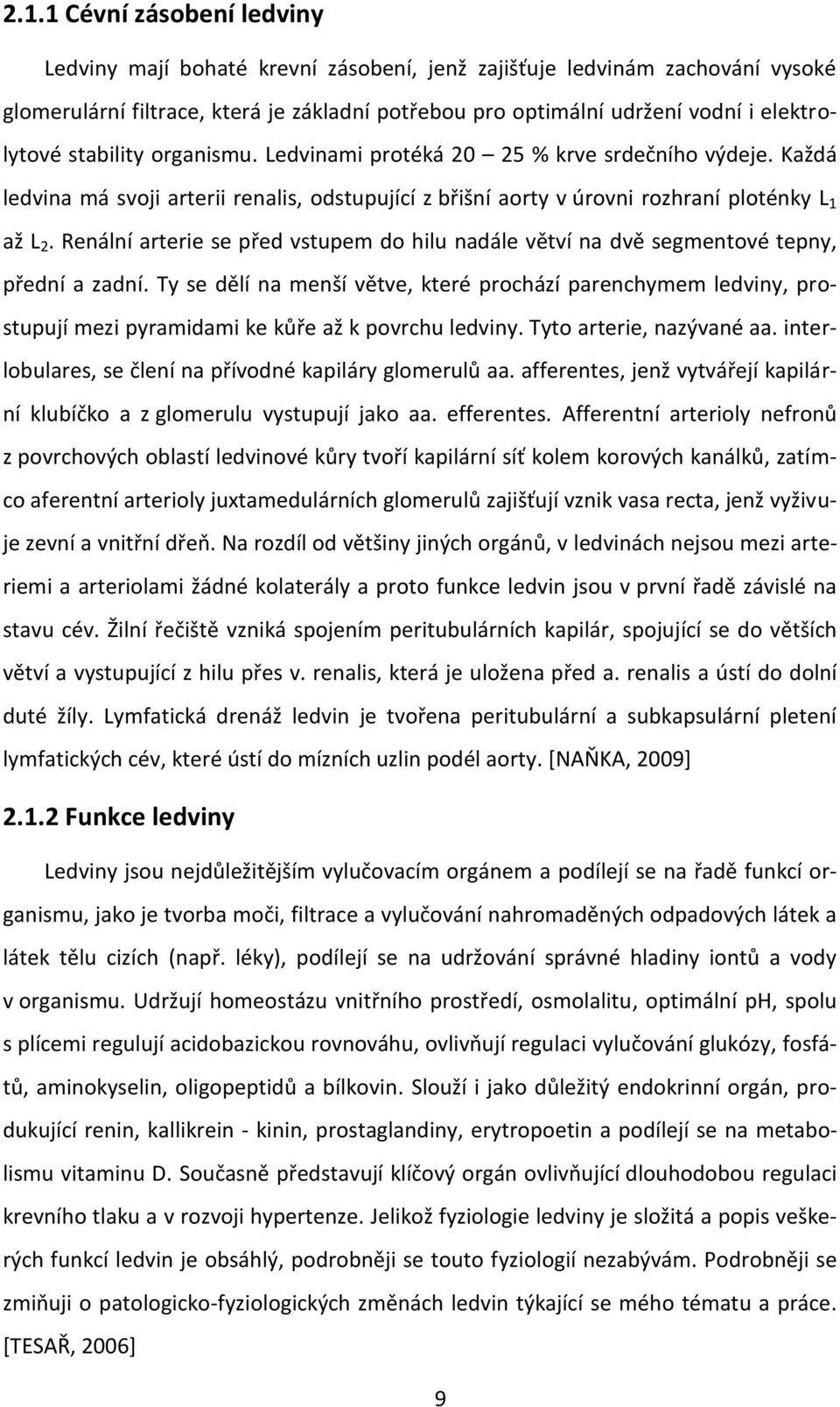 Renální arterie se před vstupem do hilu nadále větví na dvě segmentové tepny, přední a zadní.