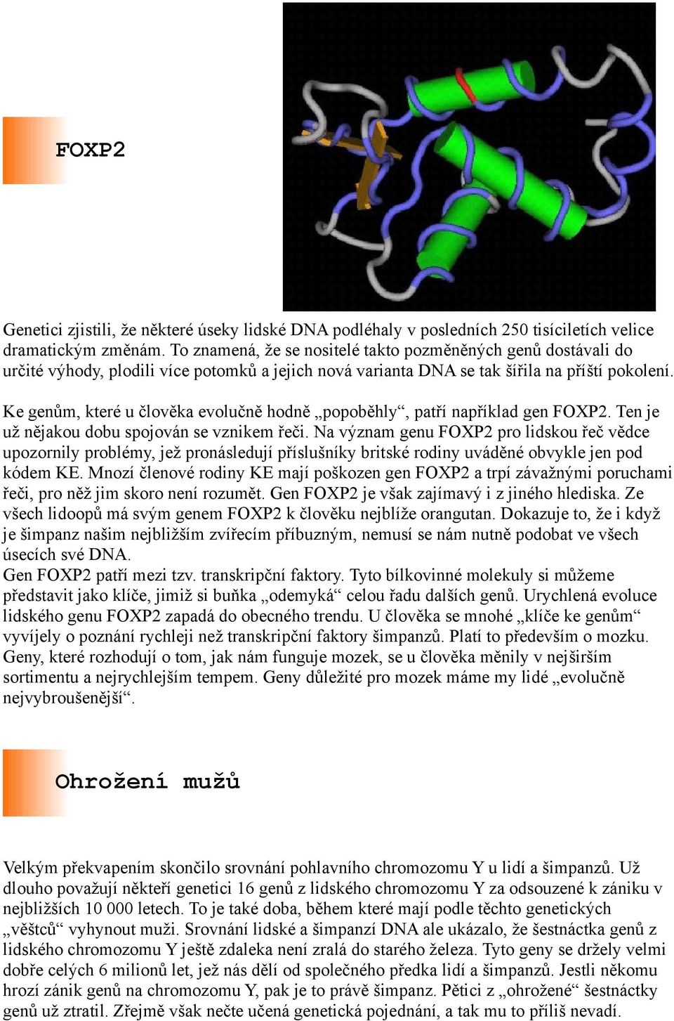 Ke genům, které u člověka evolučně hodně popoběhly, patří například gen FOXP2. Ten je už nějakou dobu spojován se vznikem řeči.