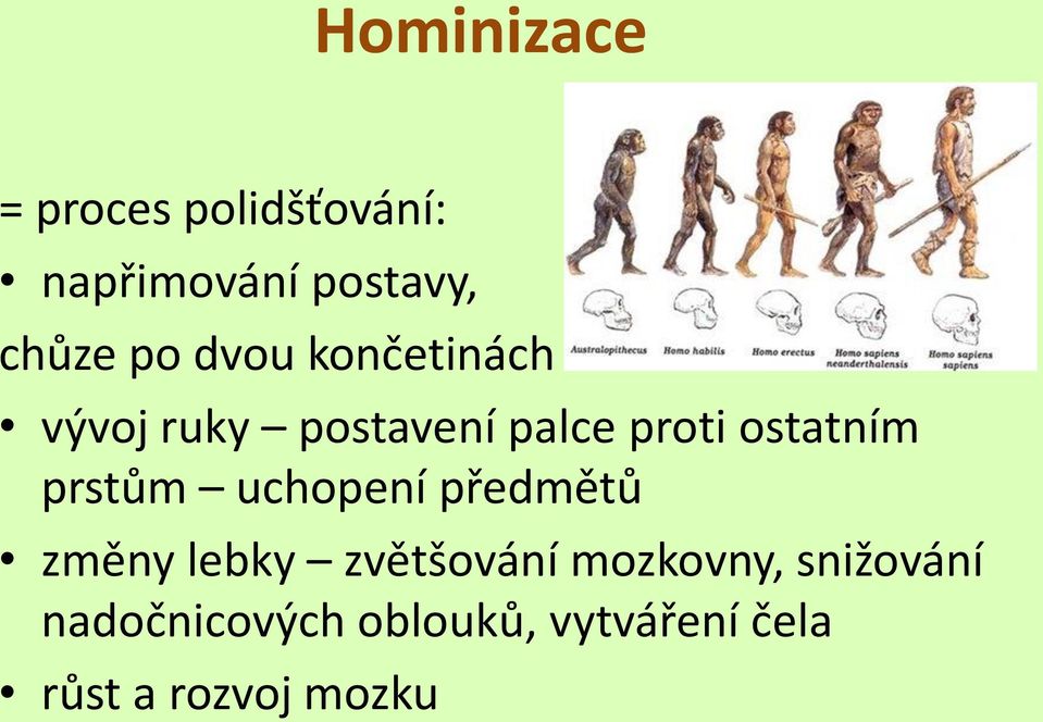 prstům uchopení předmětů změny lebky zvětšování mozkovny,