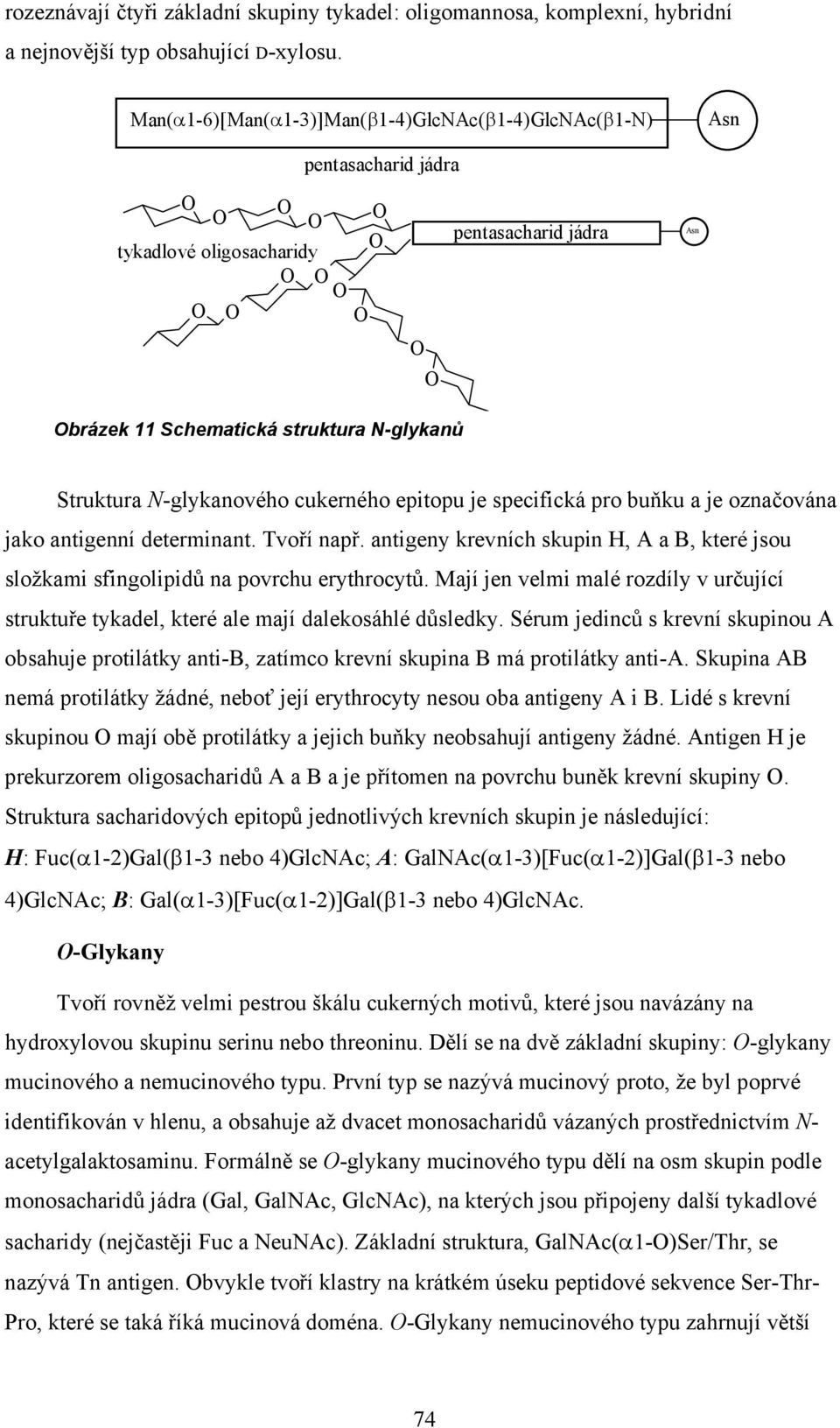 11 Schematická struktura Nglykanů Struktura Nglykanového cukerného epitopu je specifická pro buňku a je označována jako antigenní determinant. Tvoří např.