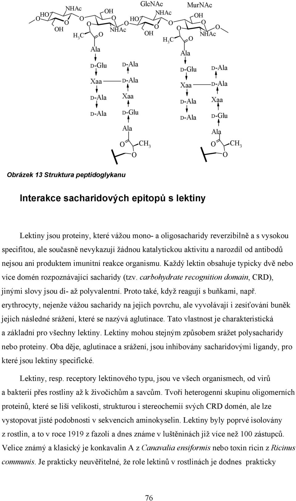 nevykazují žádnou katalytickou aktivitu a narozdíl od antibodů nejsou ani produktem imunitní reakce organismu. Každý lektin obsahuje typicky dvě nebo více domén rozpoznávající sacharidy (tzv.