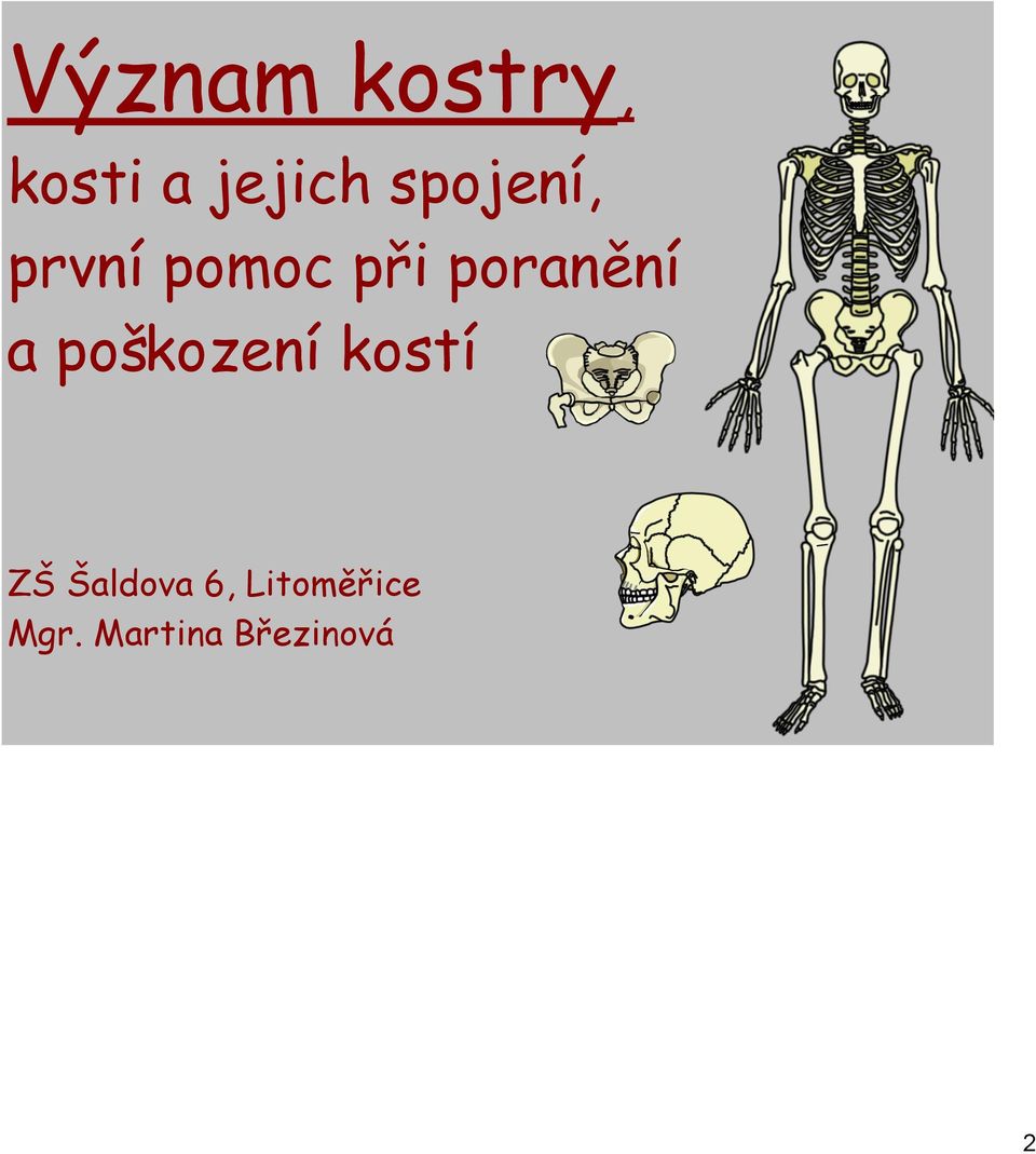 poranění a poškození kostí ZŠ