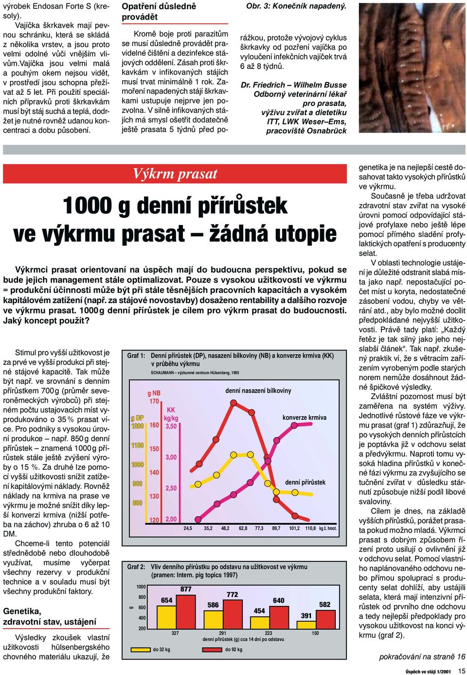 Při použití speciálních přípravků proti škrkavkám musí být stáj suchá a teplá, dodržet je nutné rovněž udanou koncentraci a dobu působení. Opatření důsledně provádět Obr. 3: Konečník napadený.