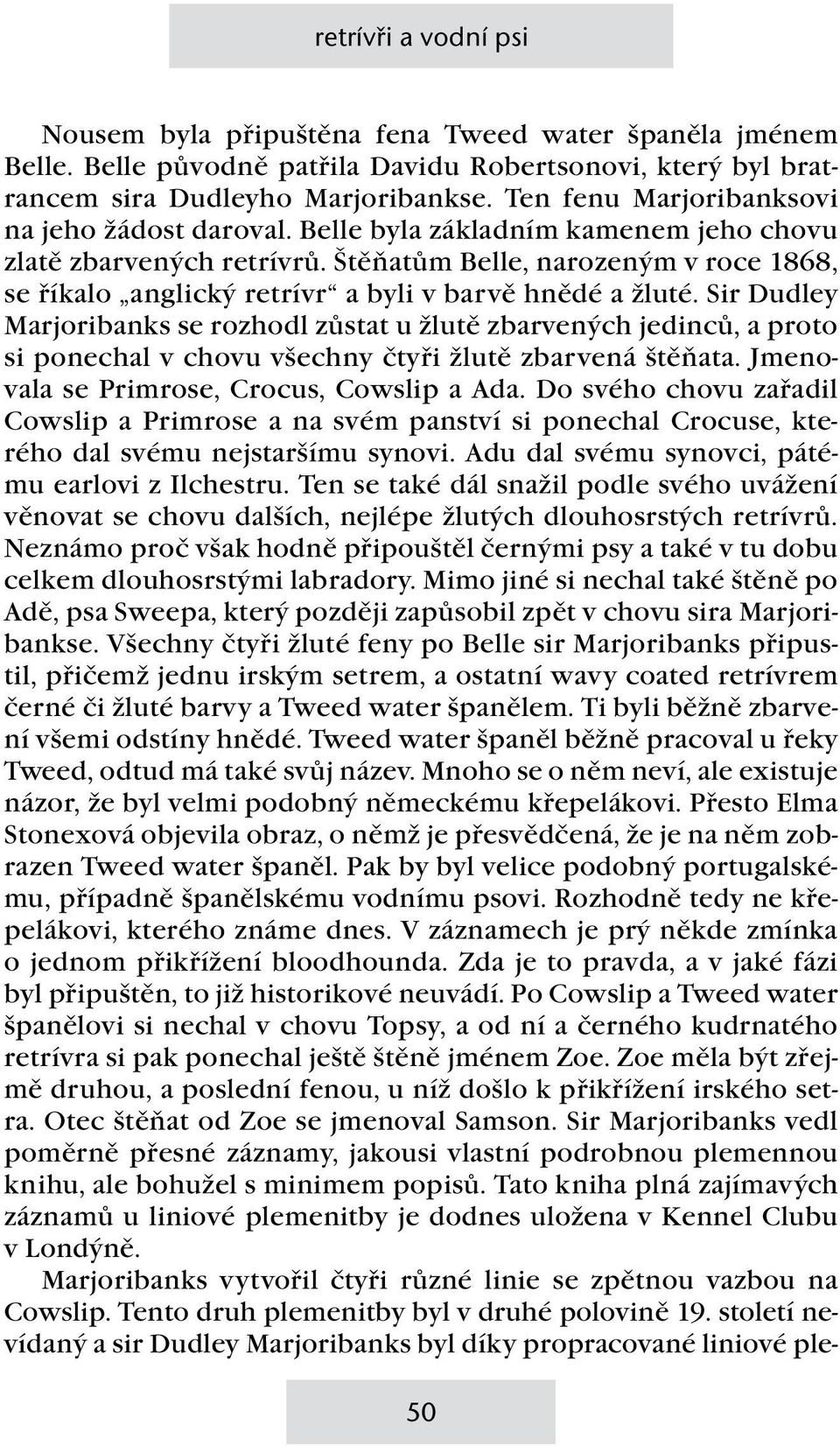 Štěňatům Belle, narozeným v roce 1868, se říkalo anglický retrívr a byli v barvě hnědé a žluté.