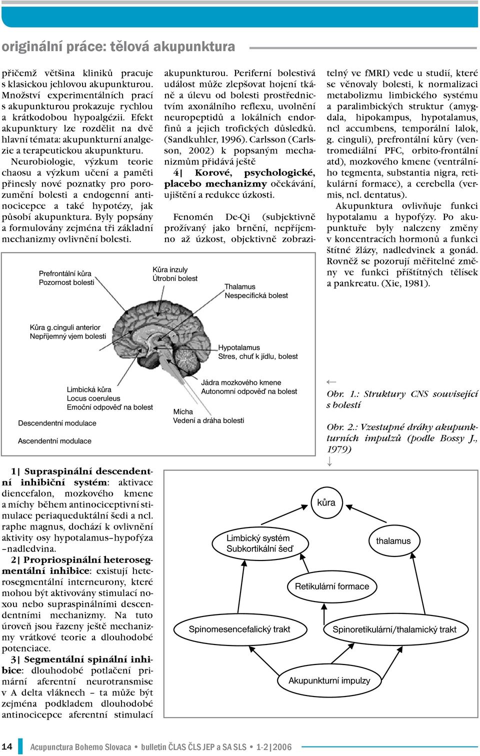 Neurobiologie, výzkum teorie chaosu a výzkum učení a paměti přinesly nové poznatky pro porozumění bolesti a endogenní antinocicepce a také hypotézy, jak působí akupunktura.