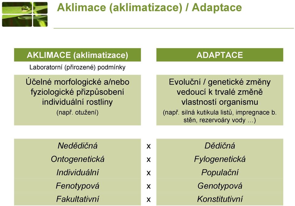 otužení) Evoluční / genetické změny vedoucí k trvalé změně vlastností organismu (např.