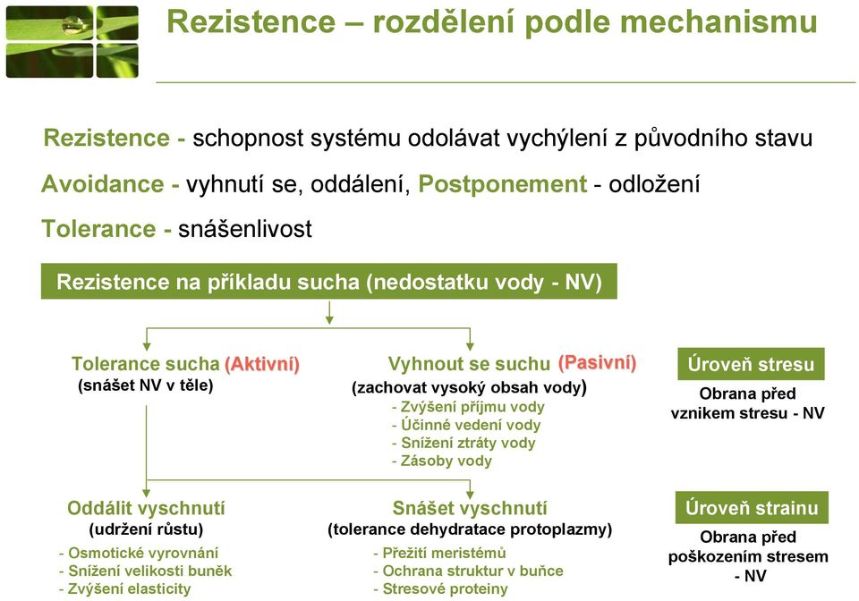 Zvýšení elasticity (Aktivní) Vyhnout se suchu (Pasivní) (zachovat vysoký obsah vody) - Zvýšení příjmu vody - Účinné vedení vody - Snížení ztráty vody - Zásoby vody Snášet vyschnutí