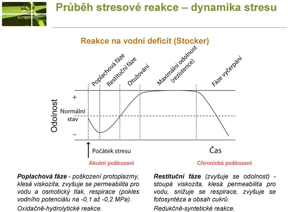 -0,1 až -0,2 MPa). Oxidačně-hydrolytické reakce.