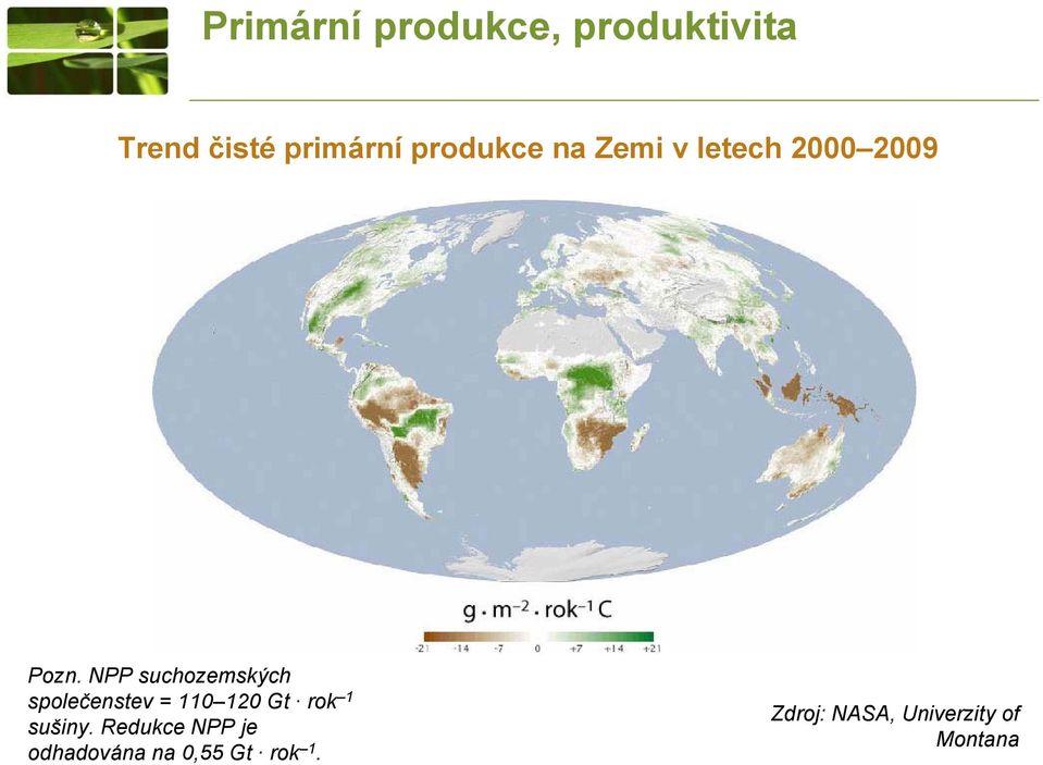 NPP suchozemských společenstev = 110 120 Gt rok 1 sušiny.