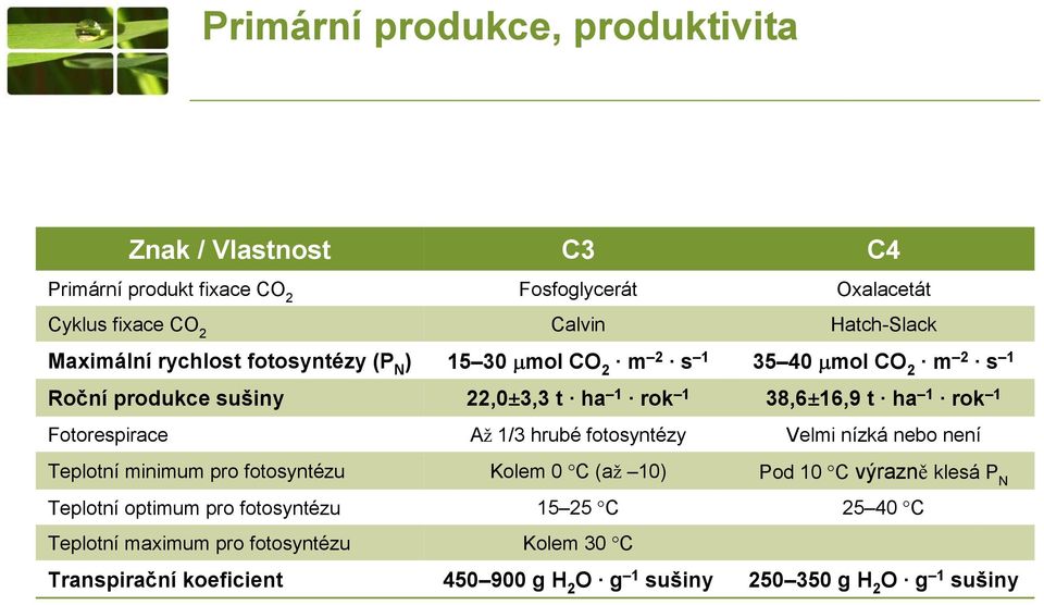 Fosfoglycerát Calvin 15 30 mol CO 2 m 2 s 1 22,0±3,3 t ha 1 rok 1 Až 1/3 hrubé fotosyntézy Kolem 0 C (až 10) 15 25 C Kolem 30 C 450 900 g H 2 O g 1