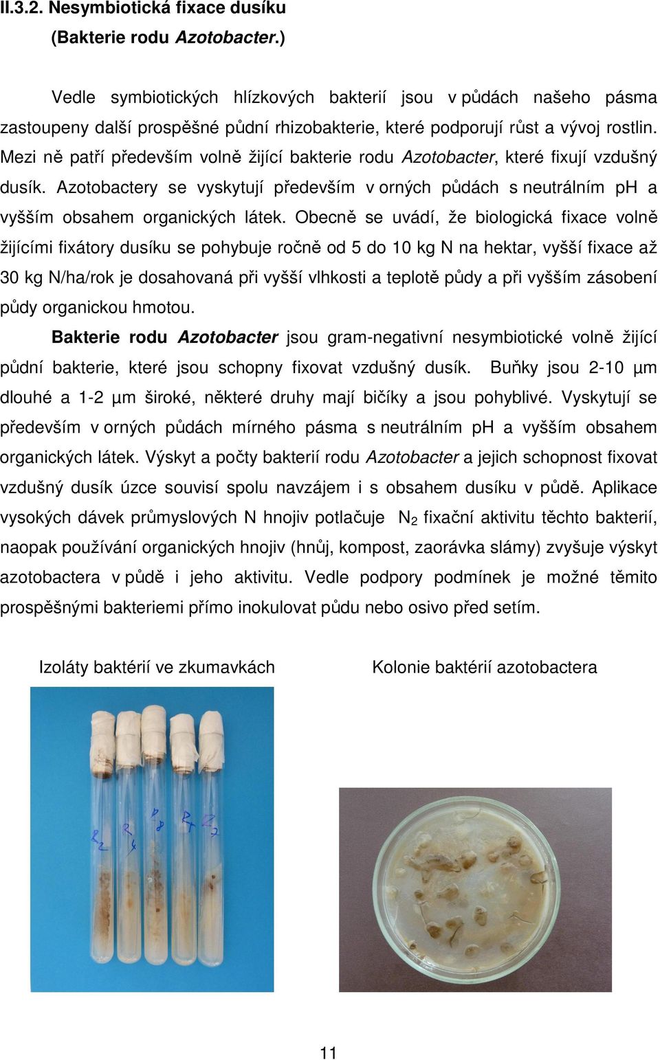 Mezi ně patří především volně žijící bakterie rodu Azotobacter, které fixují vzdušný dusík. Azotobactery se vyskytují především v orných půdách s neutrálním ph a vyšším obsahem organických látek.