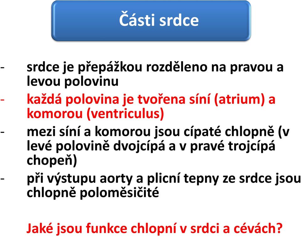 cípaté chlopně (v levé polovině dvojcípá a v pravé trojcípá chopeň) - při výstupu