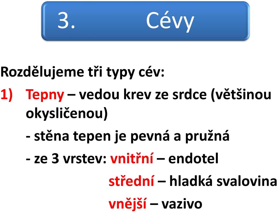 stěna tepen je pevná a pružná - ze 3 vrstev: