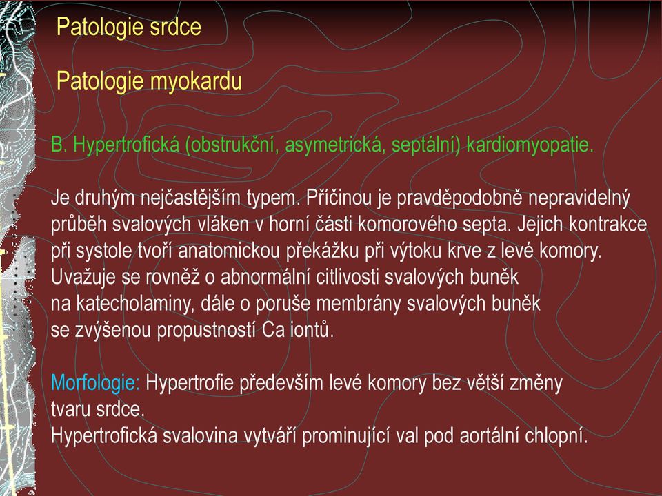 Jejich kontrakce při systole tvoří anatomickou překážku při výtoku krve z levé komory.