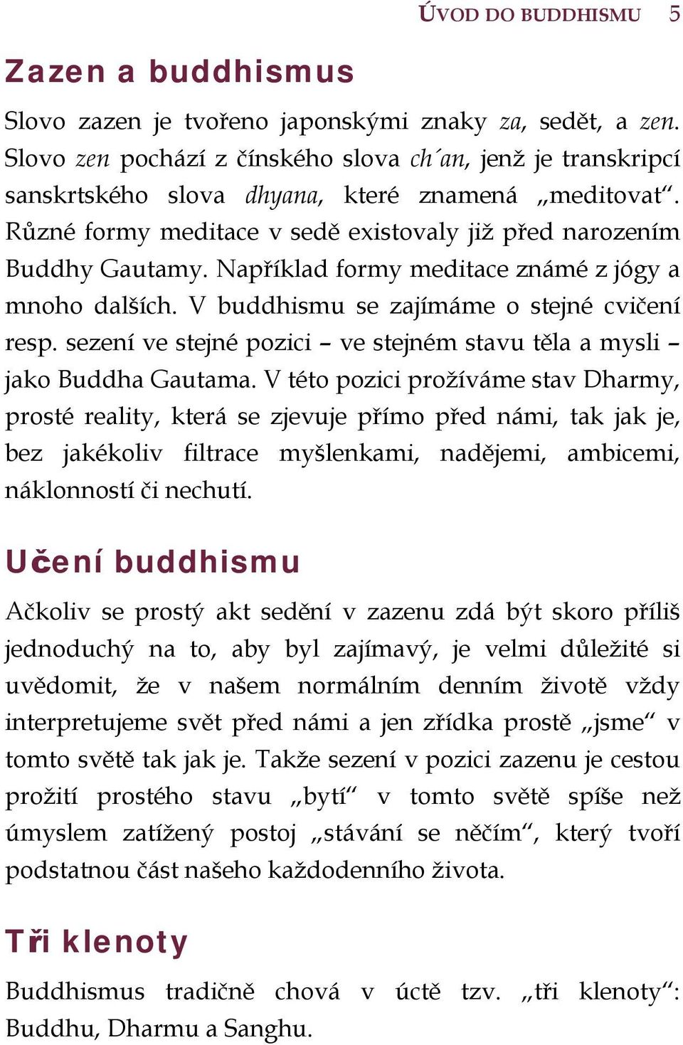 Například formy meditace známé z jógy a mnoho dalších. V buddhismu se zajímáme o stejné cvičení resp. sezení ve stejné pozici ve stejném stavu těla a mysli jako Buddha Gautama.