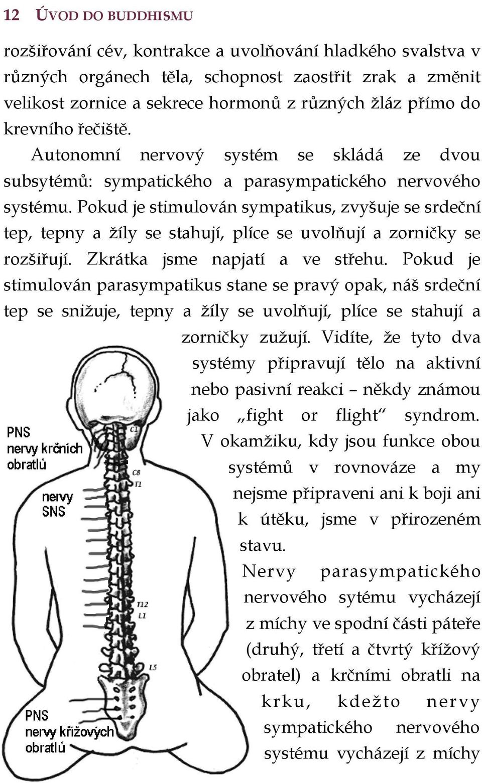 Pokud je stimulován sympatikus, zvyšuje se srdeční tep, tepny a žíly se stahují, plíce se uvolňují a zorničky se rozšiřují. Zkrátka jsme napjatí a ve střehu.