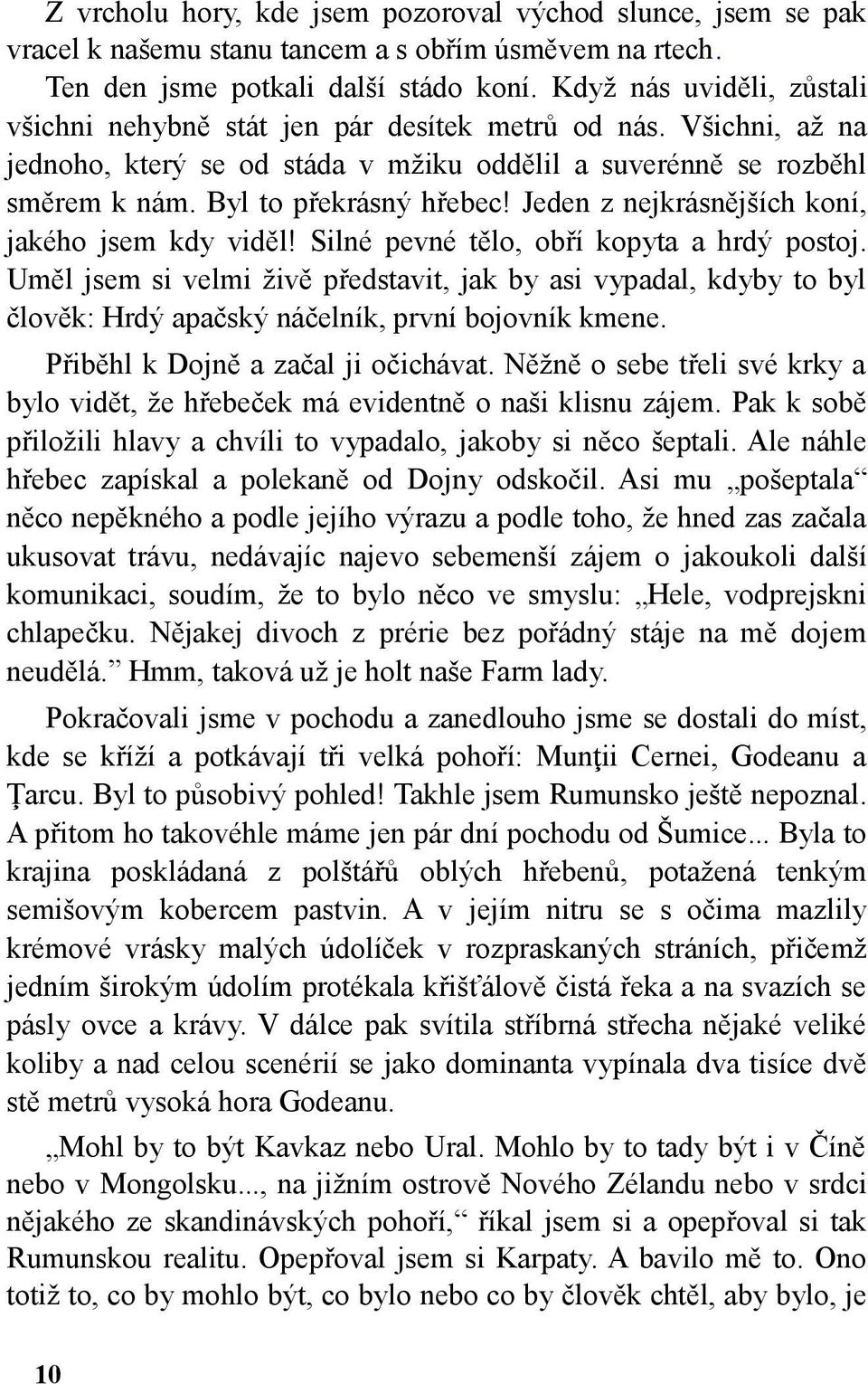 Jeden z nejkrásnějších koní, jakého jsem kdy viděl! Silné pevné tělo, obří kopyta a hrdý postoj.