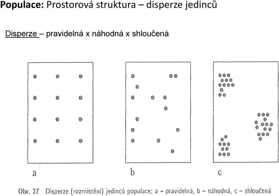 jedinců Disperze