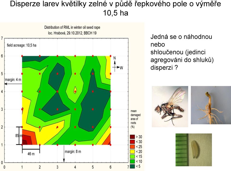 Jedná se o náhodnou nebo shloučenou