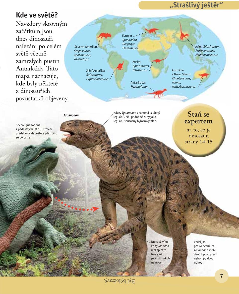 Severní Amerika: Stegosaurus, Apatosaurus, Triceratops Jižní Amerika: Saltasaurus, Argentinosaurus Evropa: Iguanodon, Baryonyx, Plateosaurus Afrika: Spinosaurus, Barosaurus Antarktida: Hypsilofodon