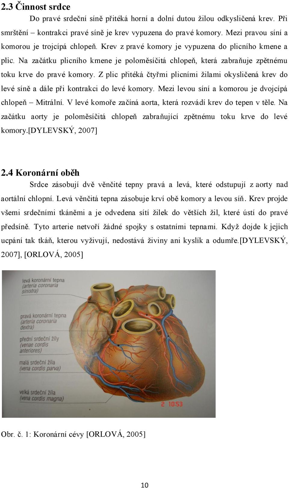 Na začátku plicního kmene je poloměsíčitá chlopeň, která zabraňuje zpětnému toku krve do pravé komory.