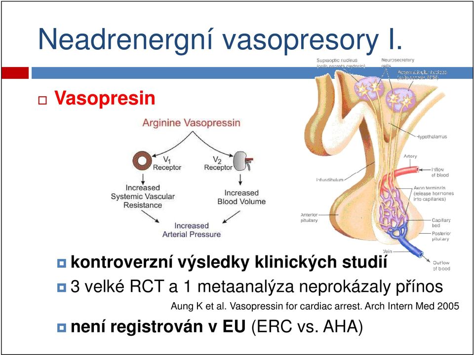 velké RCT a 1 metaanalýza neprokázaly přínos Aung K et