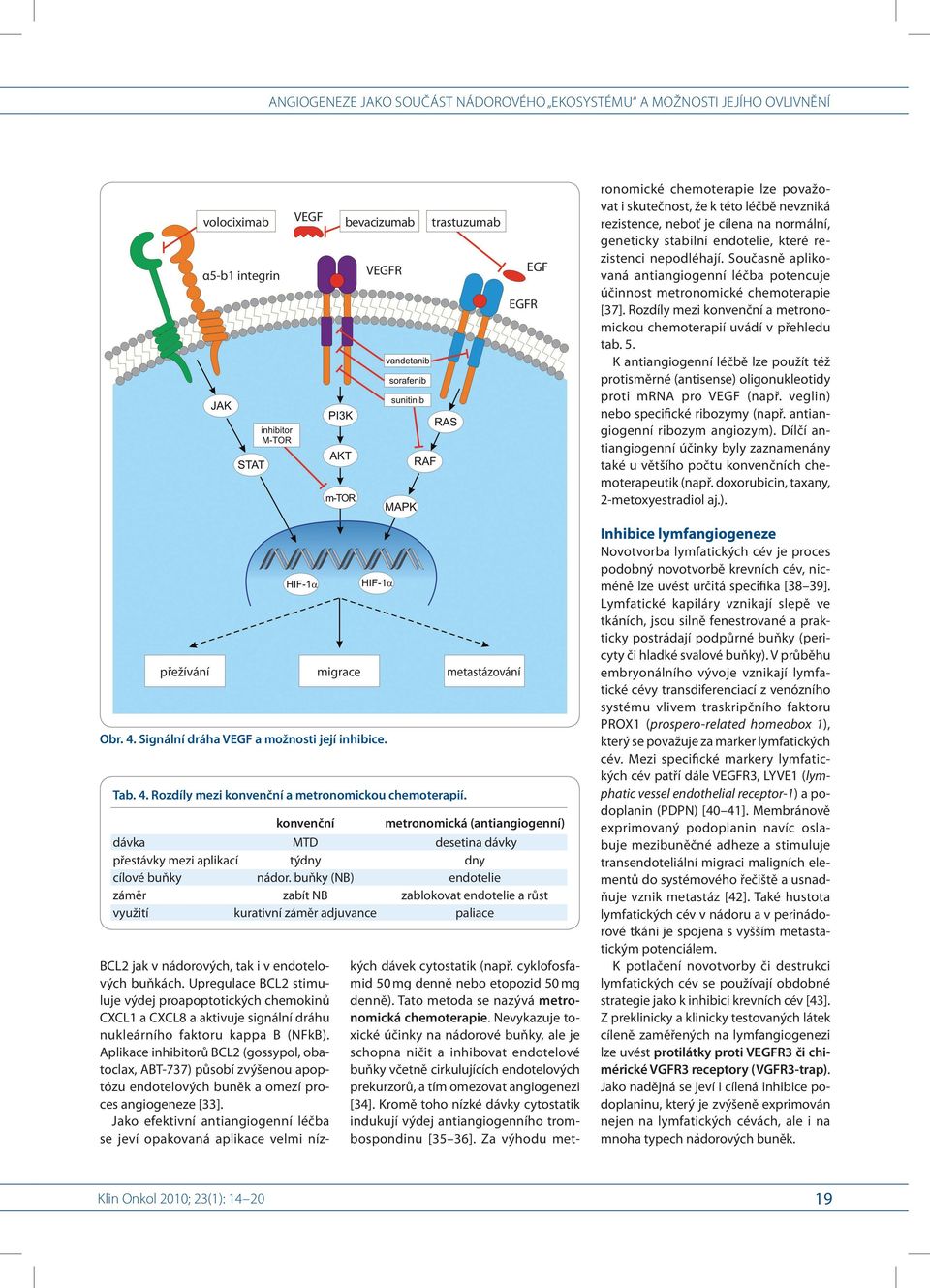 Rozdíly mezi konvenční a metronomickou chemoterapií uvádí v přehledu tab. 5. K antiangiogenní léčbě lze použít též protisměrné (antisense) oligonukleotidy proti mrna pro VEGF (např.