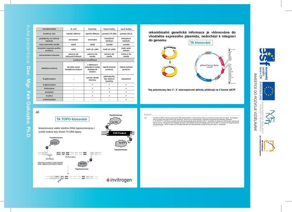 vektor ošetřen DNA topoisomerasou I rychlá reakce bez účasti T4 DNA ligasy komplexní medium komplexní medium cena růstového media nízká nízká vysoká vysoká množství exprimovaného proteinu