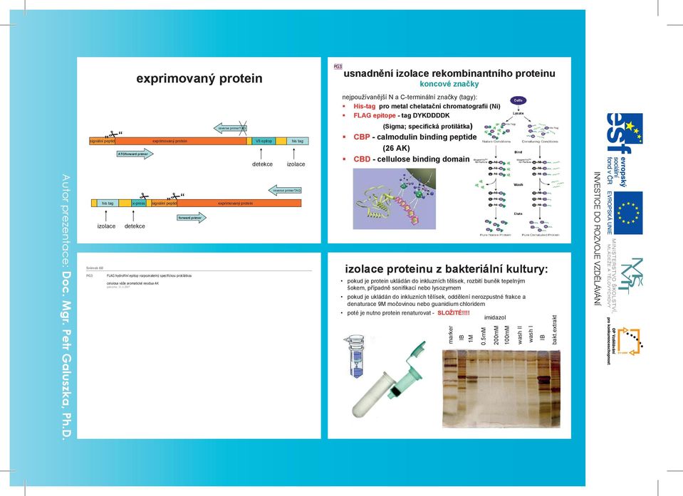 CBD - cellulose binding domain Autor prezentace: Doc. Mgr. Petr Galuszka, Ph.D. his tag x-press signální peptid exprimovaný protein forward primer izolace detekce Snímek 60 PG3 FLAG hydrofilní epitop