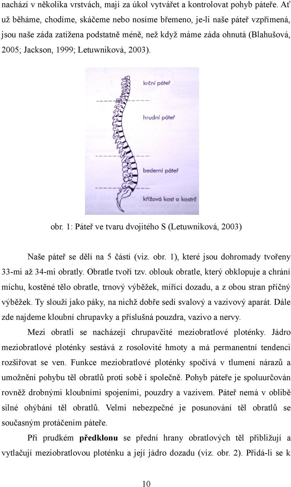 obr. 1: Páteř ve tvaru dvojitého S (Letuwniková, 2003) Naše páteř se dělí na 5 částí (viz. obr. 1), které jsou dohromady tvořeny 33-mi až 34-mi obratly. Obratle tvoří tzv.