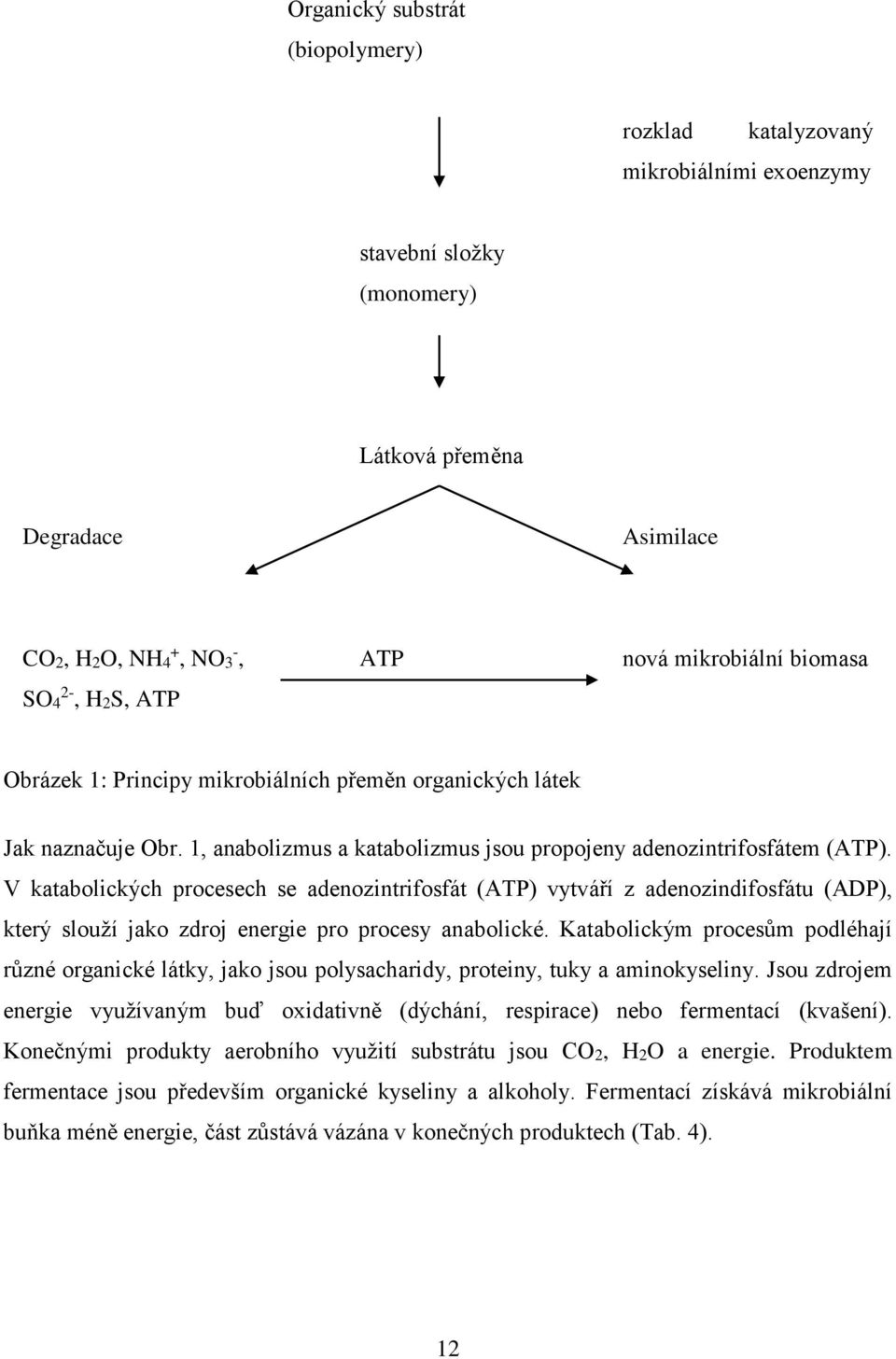 V katabolických procesech se adenozintrifosfát (ATP) vytváří z adenozindifosfátu (ADP), který slouží jako zdroj energie pro procesy anabolické.
