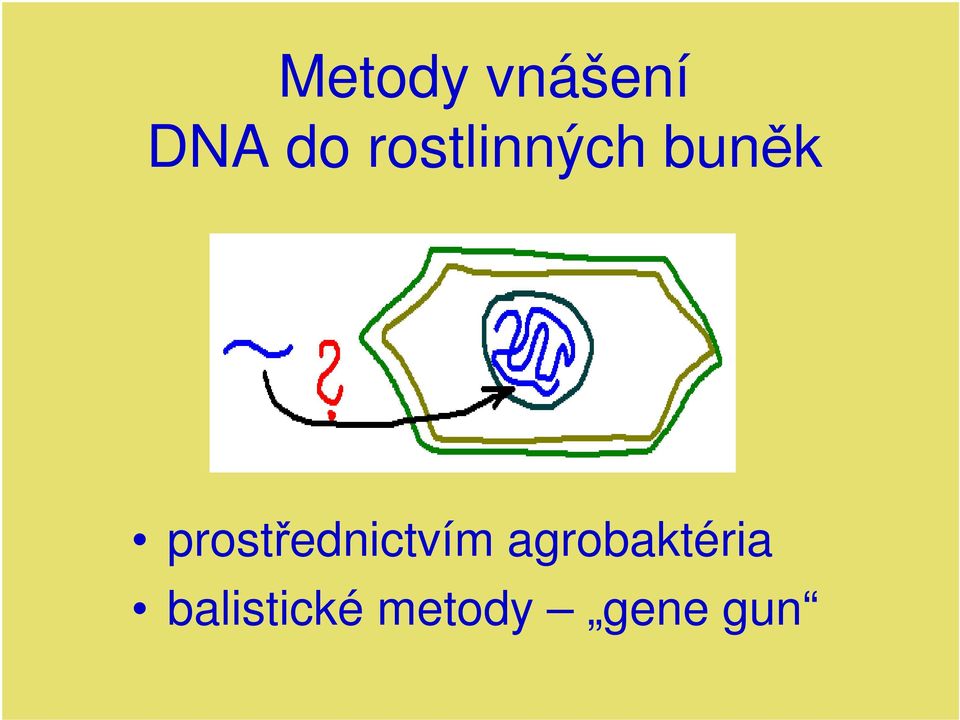 prostřednictvím