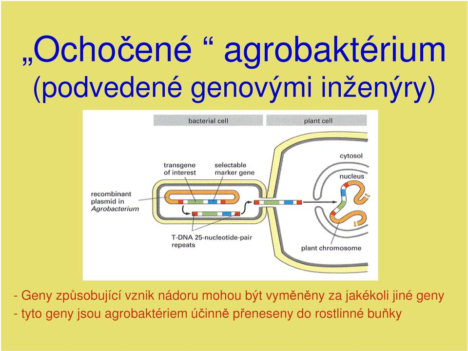 být vyměněny za jakékoli jiné geny - tyto geny