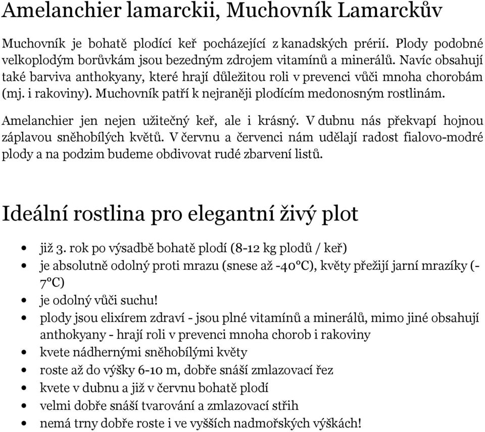 Amelanchier jen nejen užitečný keř, ale i krásný. V dubnu nás překvapí hojnou záplavou sněhobílých květů.