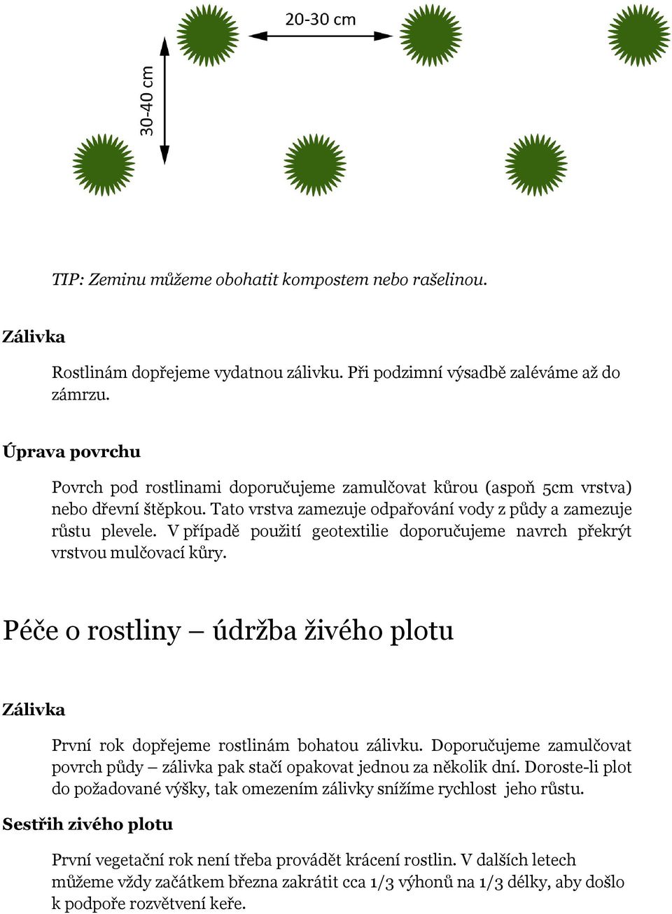 V případě použití geotextilie doporučujeme navrch překrýt vrstvou mulčovací kůry. Péče o rostliny údržba živého plotu Zálivka První rok dopřejeme rostlinám bohatou zálivku.