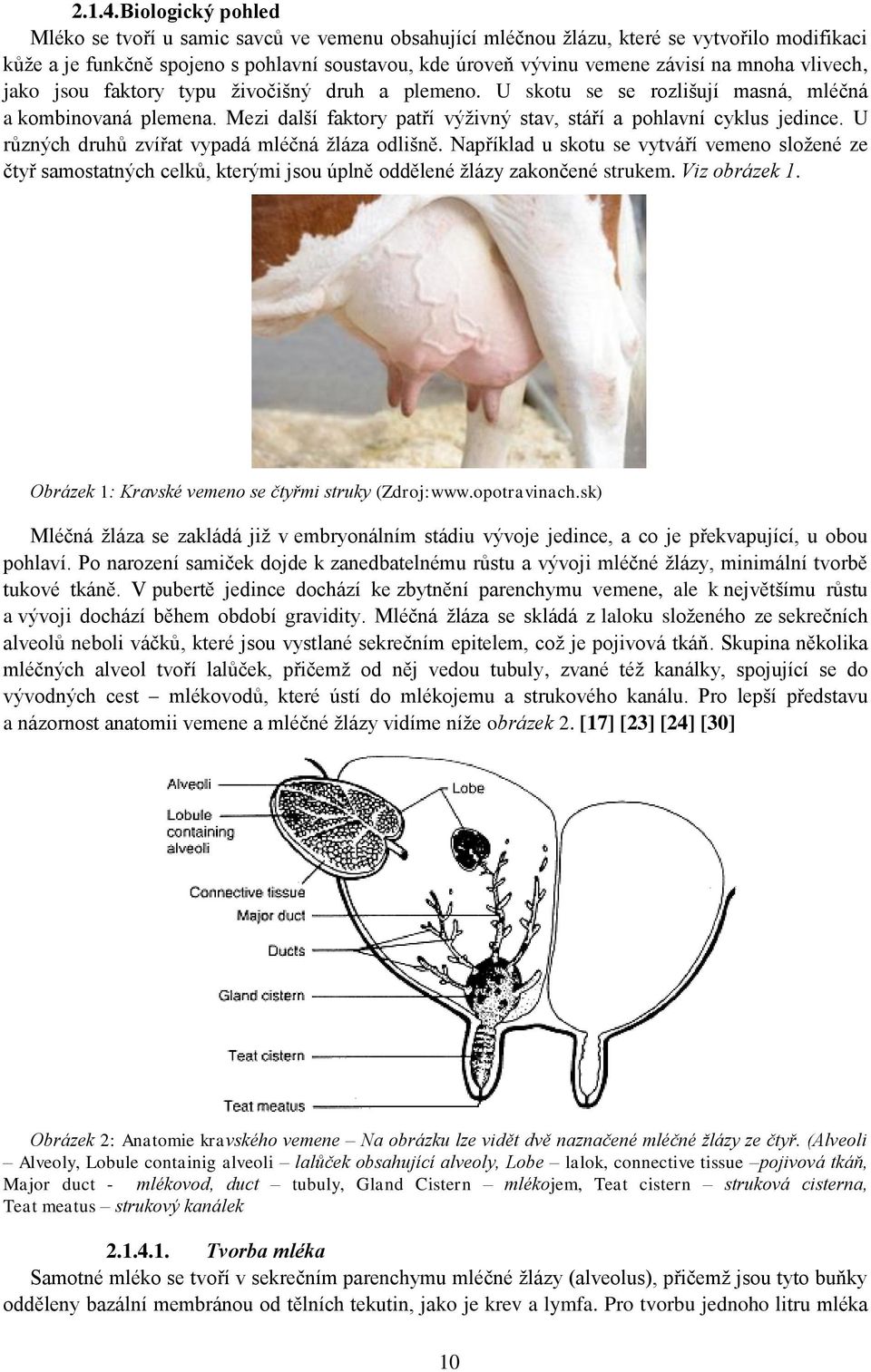 mnoha vlivech, jako jsou faktory typu živočišný druh a plemeno. U skotu se se rozlišují masná, mléčná a kombinovaná plemena. Mezi další faktory patří výživný stav, stáří a pohlavní cyklus jedince.