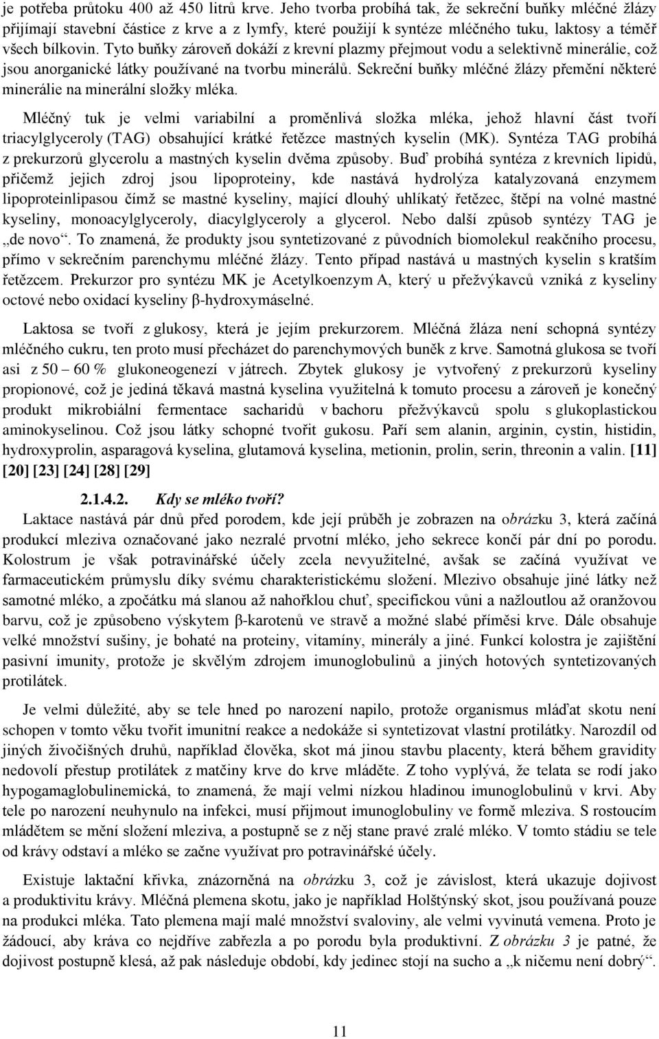 Tyto buňky zároveň dokáží z krevní plazmy přejmout vodu a selektivně minerálie, což jsou anorganické látky používané na tvorbu minerálů.