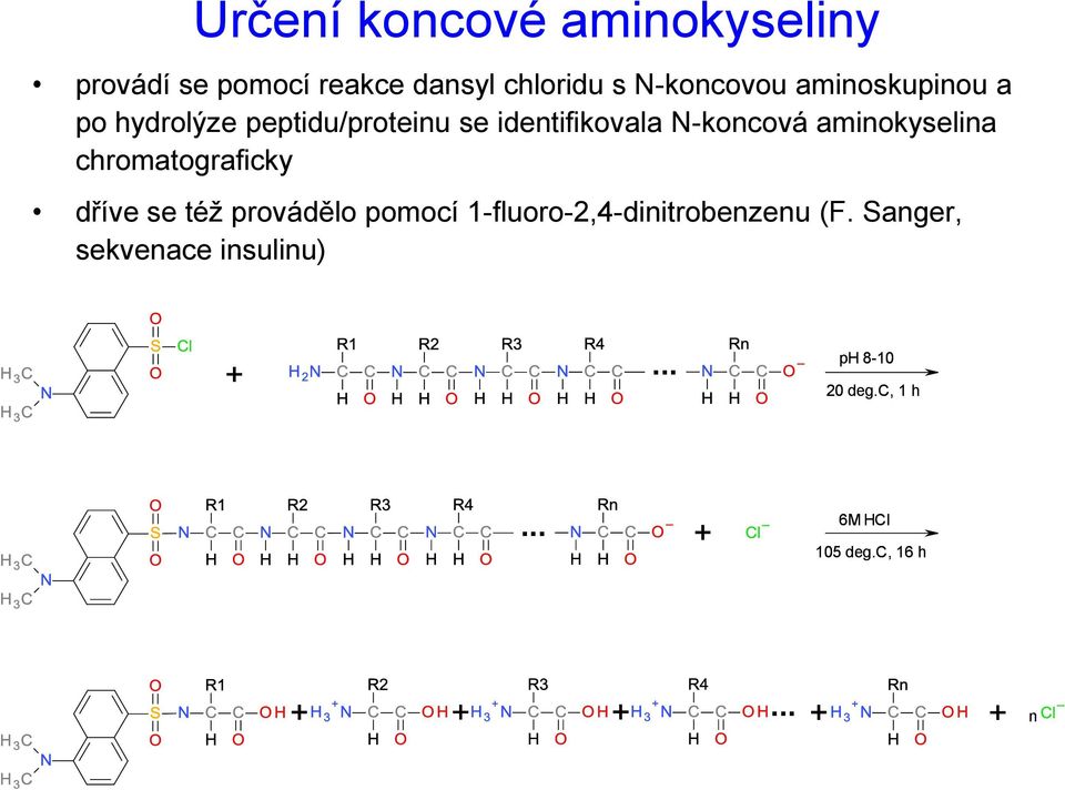 aminokyselina chromatograficky dříve se též provádělo pomocí