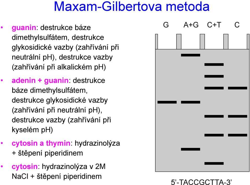 dimethylsulfátem, destrukce glykosidické vazby (zahřívání při neutrální ph), destrukce vazby (zahřívání při