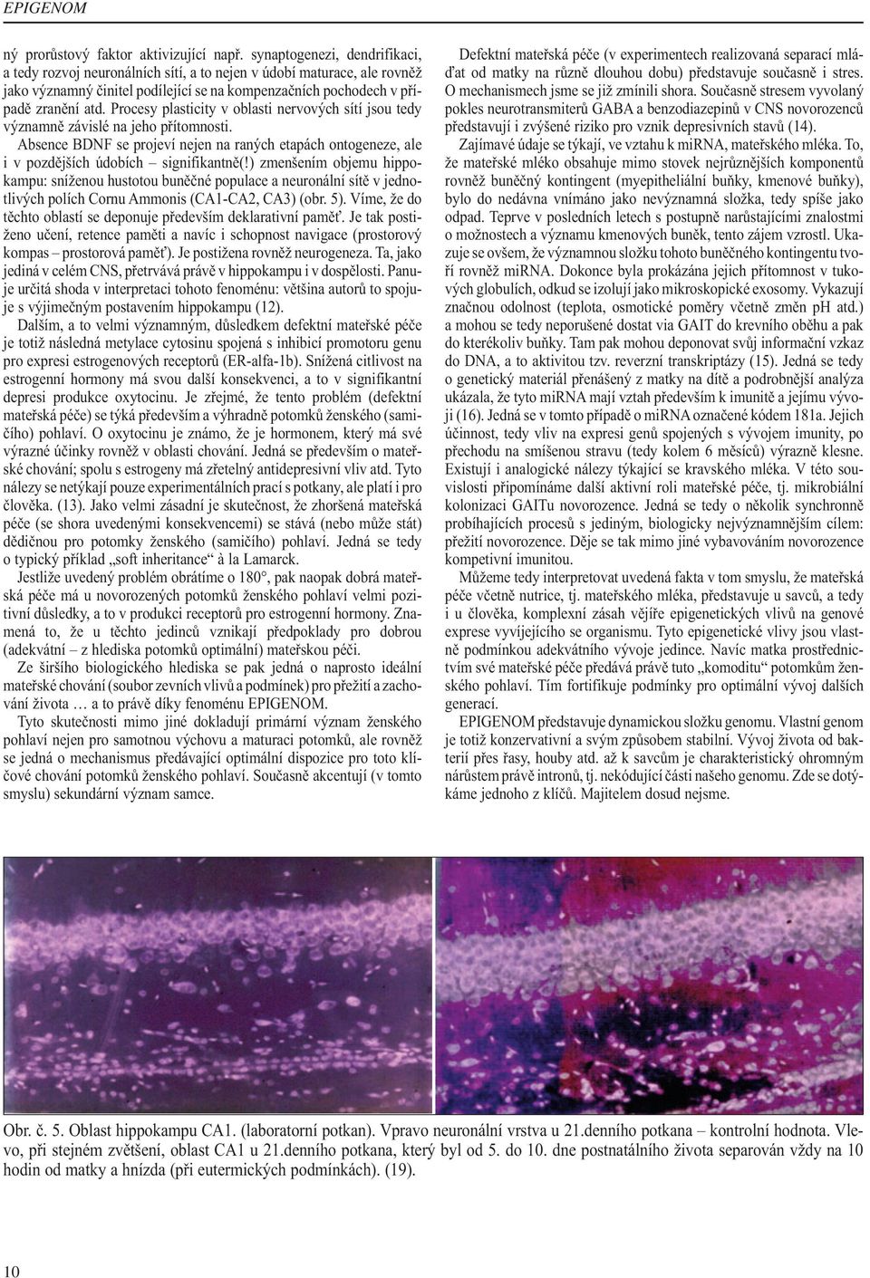 Procesy plasticity v oblasti nervových sítí jsou tedy významně závislé na jeho přítomnosti. Absence BDNF se projeví nejen na raných etapách ontogeneze, ale i v pozdějších údobích signifikantně(!