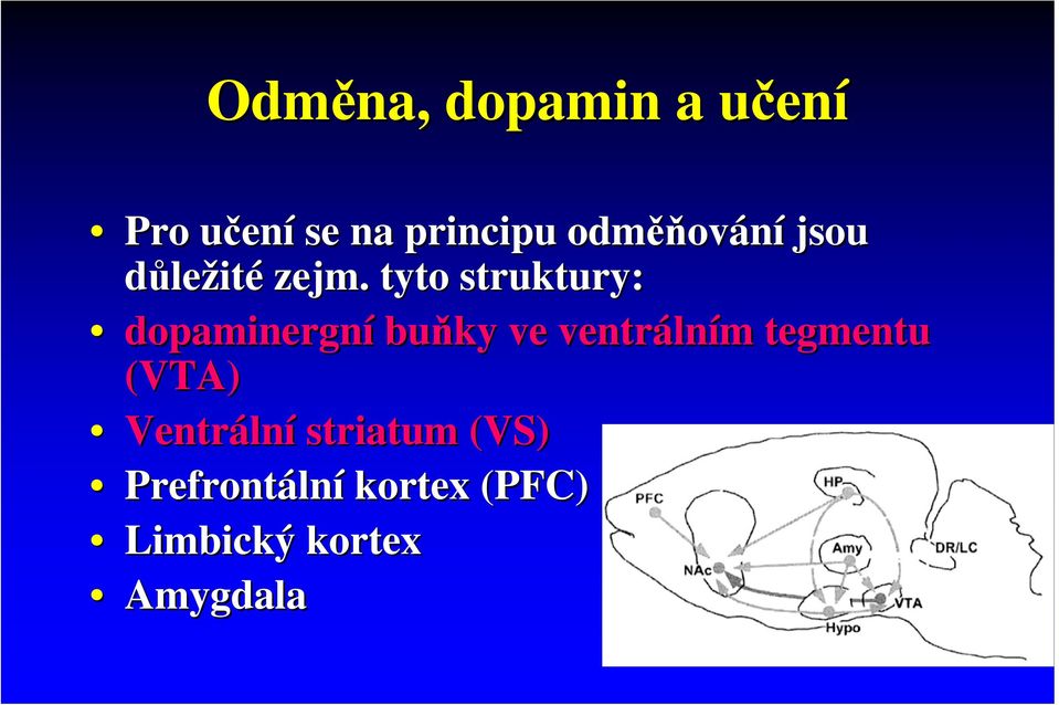 tyto struktury: dopaminergní buňky ve ventráln lním
