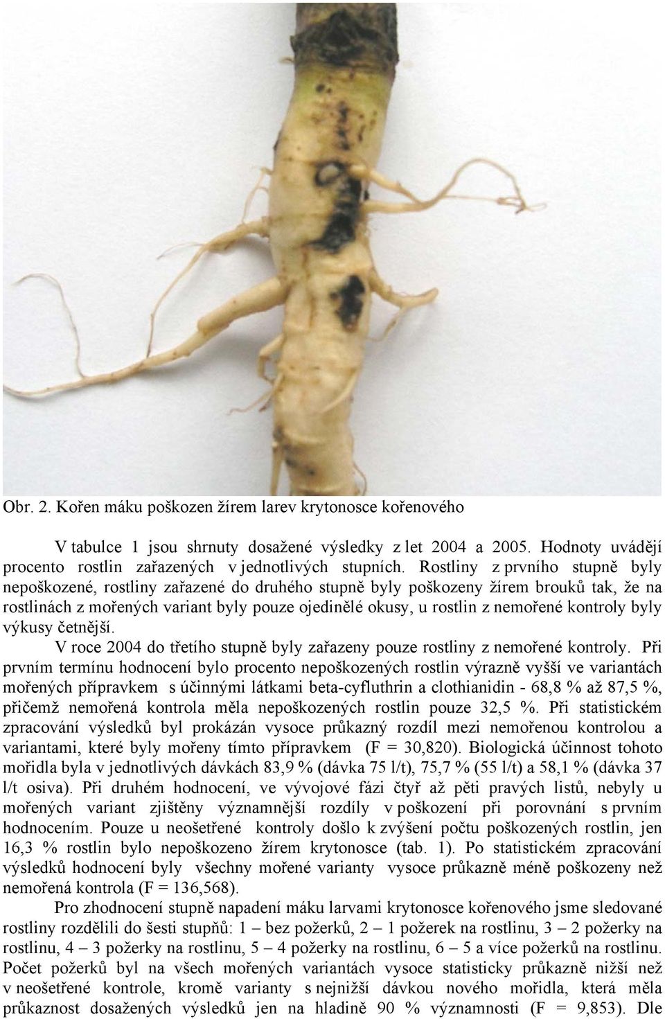 kontroly byly výkusy četnější. V roce 2004 do třetího stupně byly zařazeny pouze rostliny z nemořené kontroly.