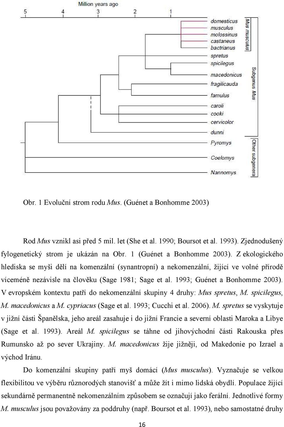 1993; Guénet a Bonhomme 2003). V evropském kontextu patří do nekomenzální skupiny 4 druhy: Mu