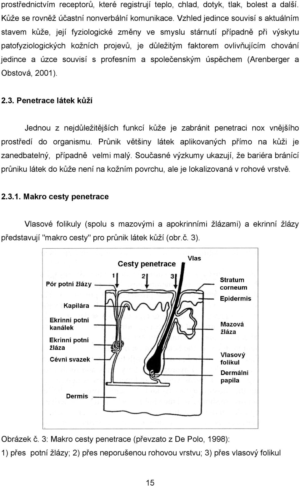 a úzce souvisí s profesním a společenským úspěchem (Arenberger a Obstová, 2001). 2.3.