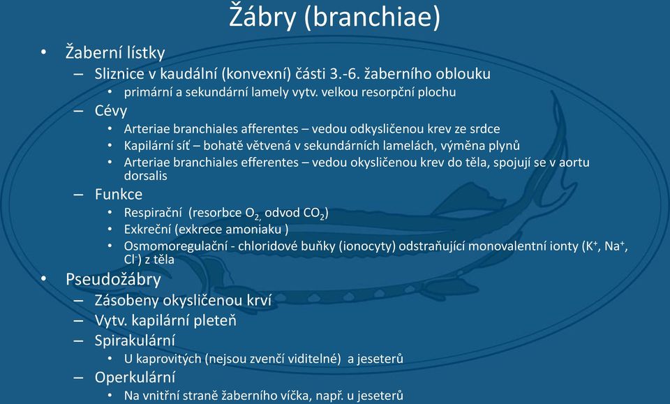 efferentes vedou okysličenou krev do těla, spojují se v aortu dorsalis Funkce Respirační (resorbce O 2, odvod CO 2 ) Exkreční (exkrece amoniaku ) Osmomoregulační - chloridové buňky