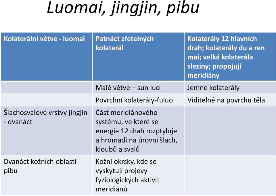 rozptyluje a hromadí na úrovni šlach, kloubů a svalů Kožní okrsky, kde se vyskytují projevy fyziologických aktivit meridiánů