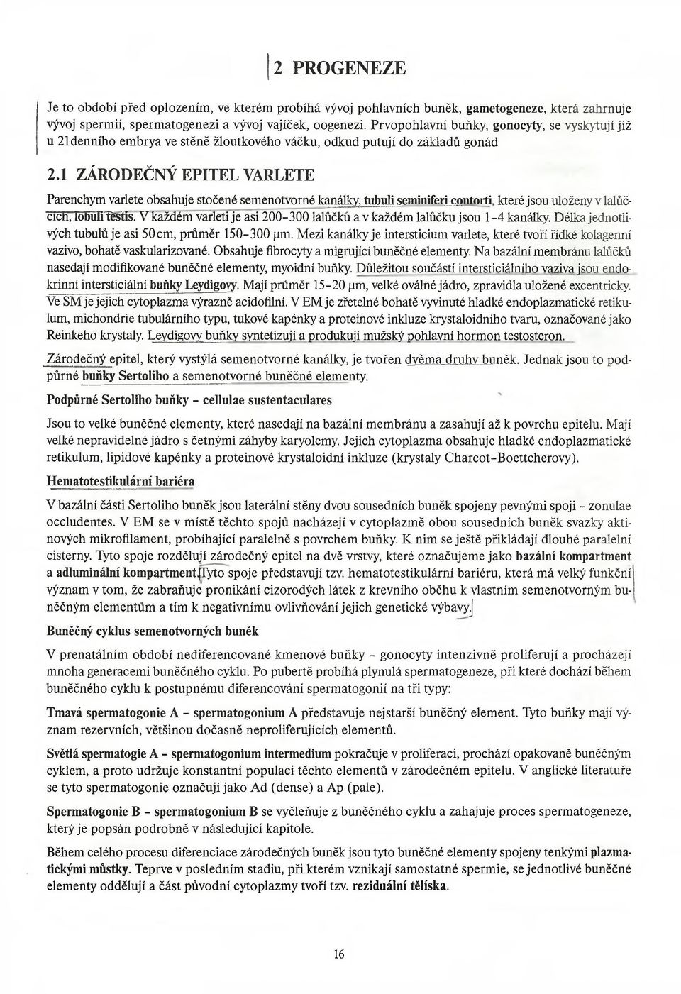 1 ZÁRODEČNÝ EPITEL VARLETE Parenchym varlete obsahuje stočené semenotvorné kanálky, tubuli seminiferi contorfi které jsou uloženy v lalůčcich, lobuli fěstís.