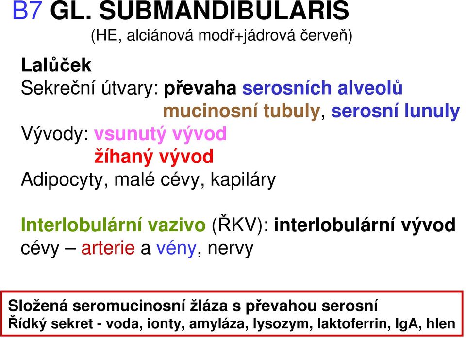 alveolů mucinosní tubuly, serosní lunuly Vývody: vsunutý vývod žíhaný vývod Adipocyty, malé cévy,