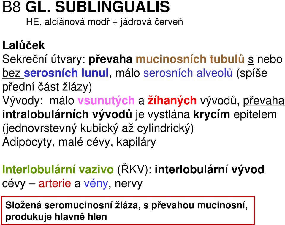 lunul, málo serosních alveolů (spíše předníčást žlázy) Vývody: málo vsunutých a žíhaných vývodů, převaha intralobulárních