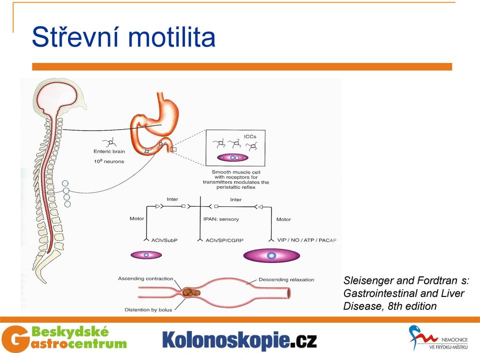 s: Gastrointestinal and